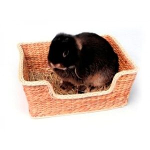 Bed for rabbits