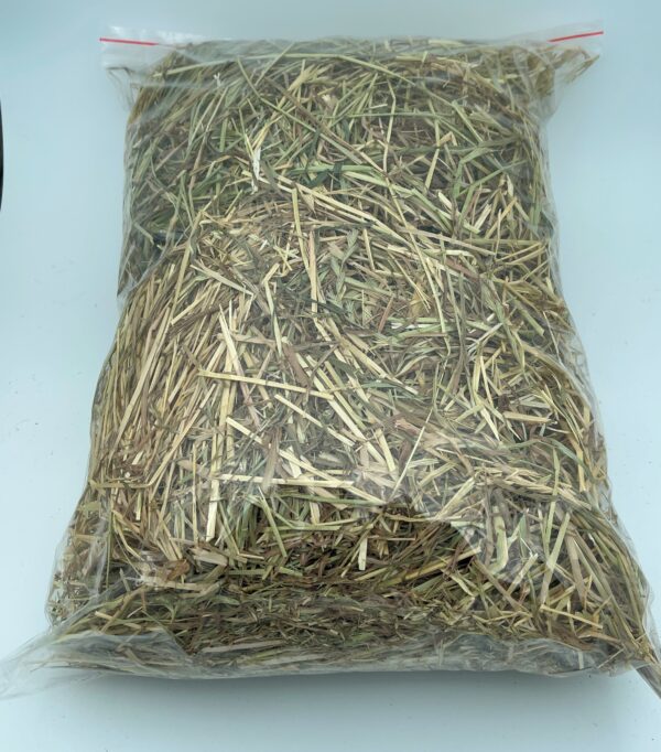 Grass Hay - 500g bag